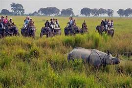 Kaziranga Family Tour
